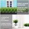 20 Bundles Artificial Plants Outdoor Faux Boston Fern Summer Decor Fake Plants UV Resistant Plastic Greenery Shrubs Artificial Fake Flowers Outside Indoor for Spring Home Gardens Patio Yards